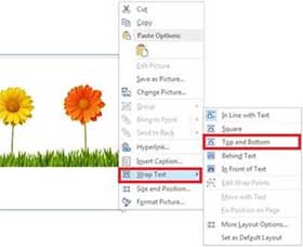 Outlook Tips: Wrap Text for Picture(s) in Email